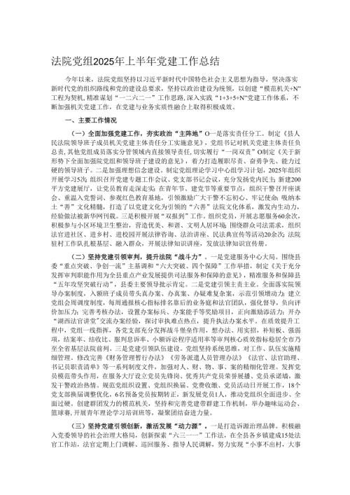 法院党组2025年上半年党建工作总结.docx