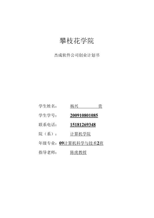软件公司创业计划书.docx