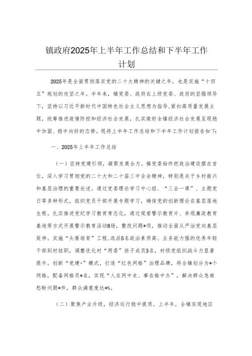 镇政府2025年上半年工作总结和下半年工作计划.docx
