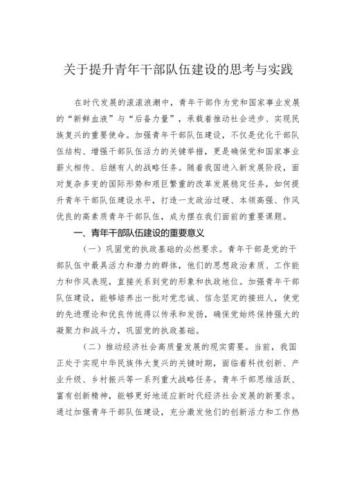 关于提升青年干部队伍建设的思考与实践.docx