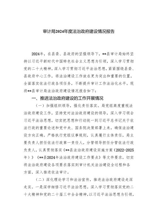 审计局2024年度法治政府建设情况报告.docx