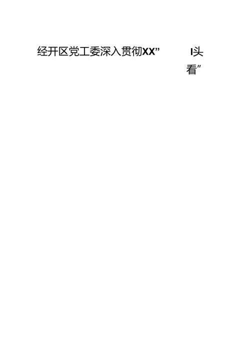 经开区党工委深入贯彻XX“回头看”报告的行动纲领与实践探索.docx