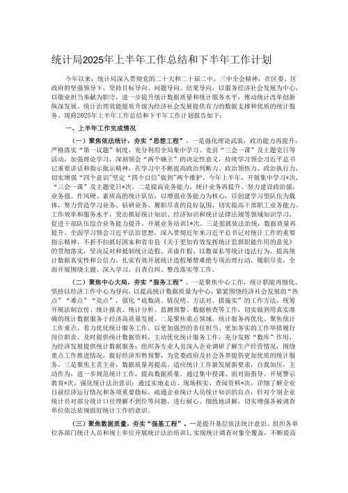 统计局2025年上半年工作总结和下半年工作计划.docx