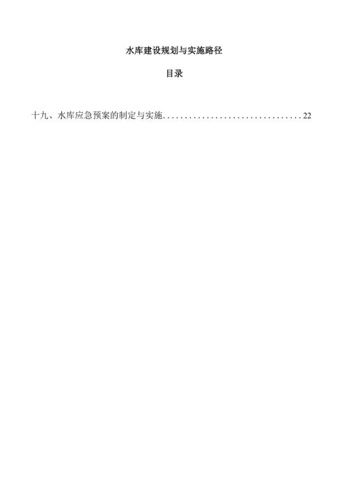 水库建设规划与实施路径.docx