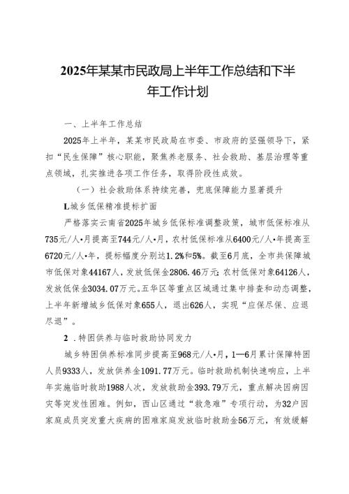 2025年某某市民政局上半年工作总结和下半年工作计划.docx