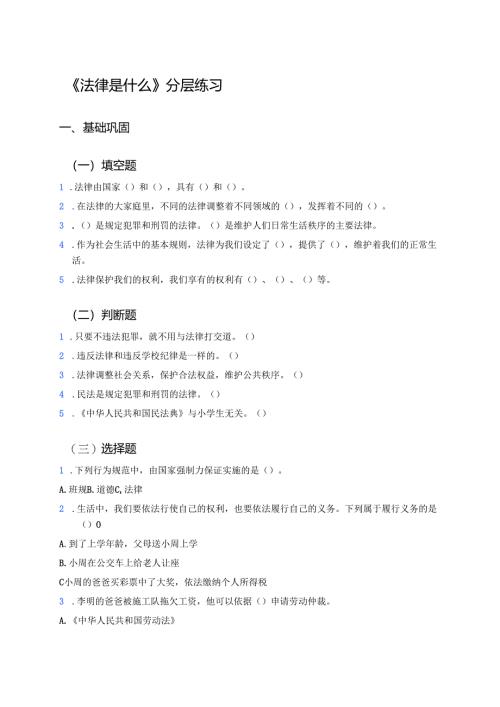 《法律是什么》分层练习.docx