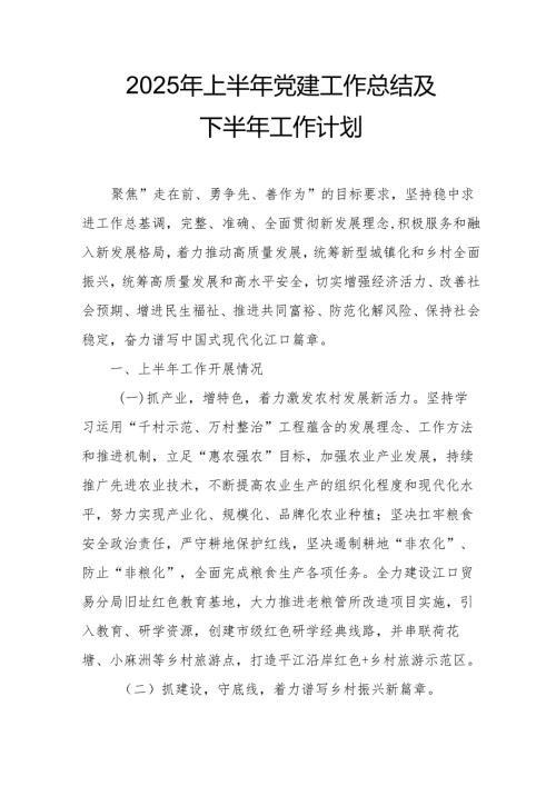 2025年上半年党建工作总结及下半年工作计划汇编11份.docx