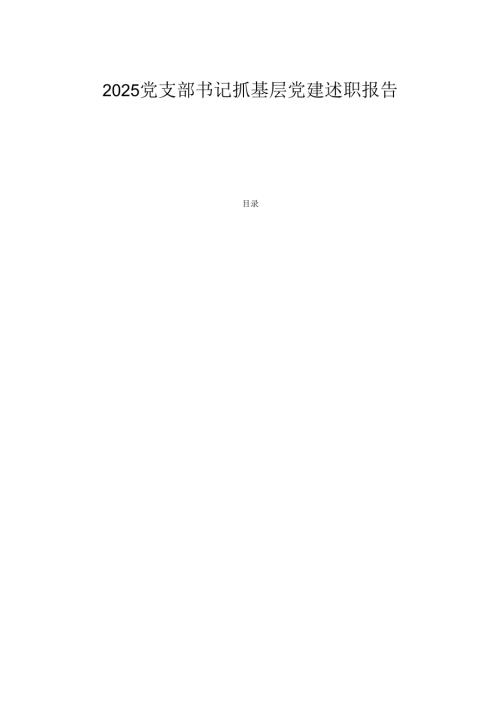 2025党支部书记抓基层党建述职报告 .docx