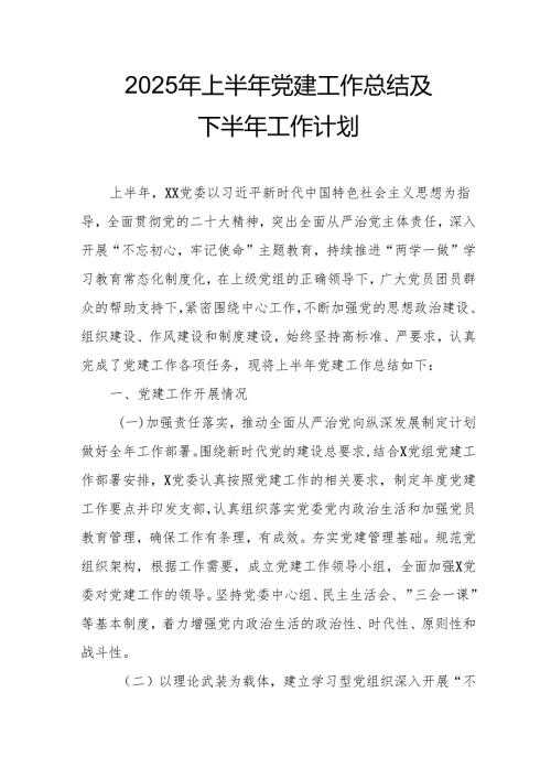 2025年上半年《党建工作总结》及下半年工作计划（汇编13份）.docx