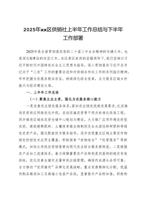2025年区供销社上半年工作总结与下半年工作部署.docx