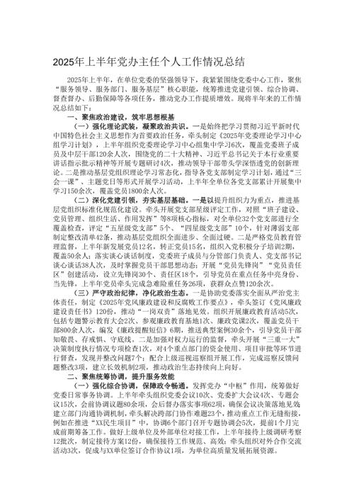 2025年上半年党办主任个人工作情况总结.docx