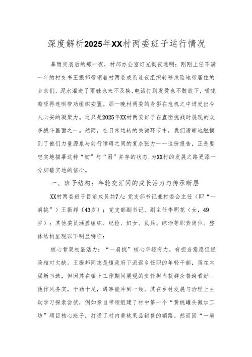 2025年XX村两委班子运行情况深度体检报告.docx