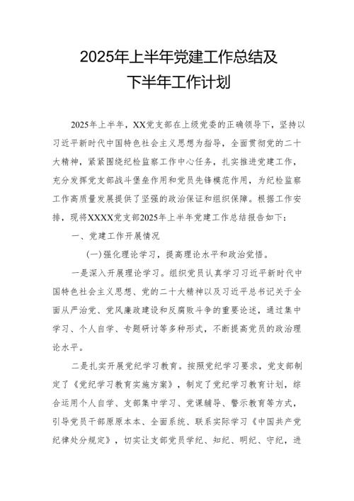 2025年上半年党建工作总结及下半年工作计划.docx