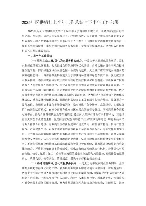 2025年区供销社上半年工作总结与下半年工作部署.docx