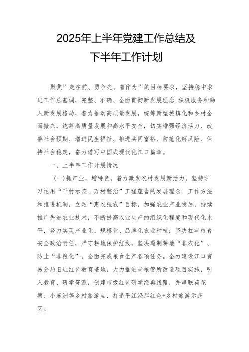 2025年上半年《党建工作总结》及下一步工作打算（3份）.docx