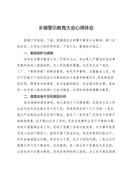 乡镇警示教育大会心得体会.docx