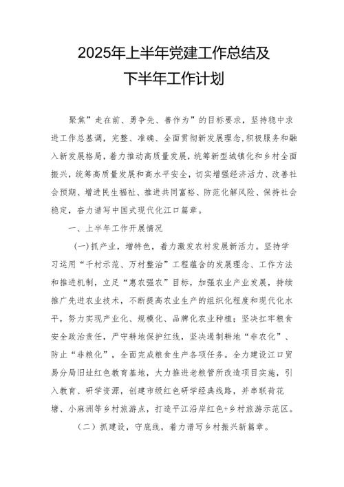 2025年上半年《党建工作总结》及下半年工作计划(5).docx