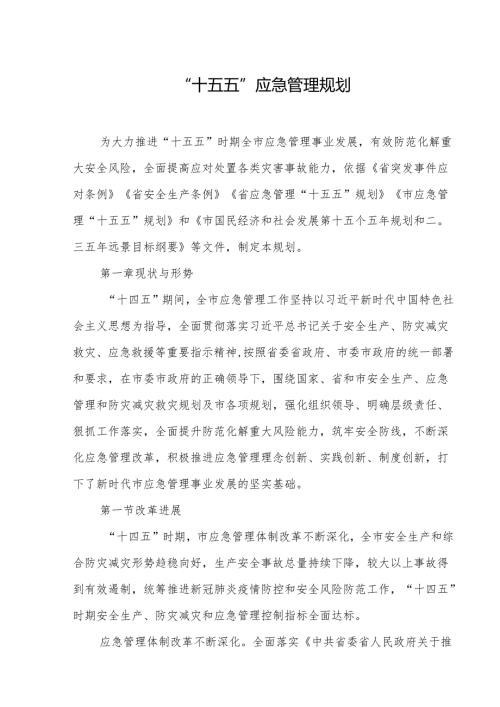 “十五五”应急管理规划.docx