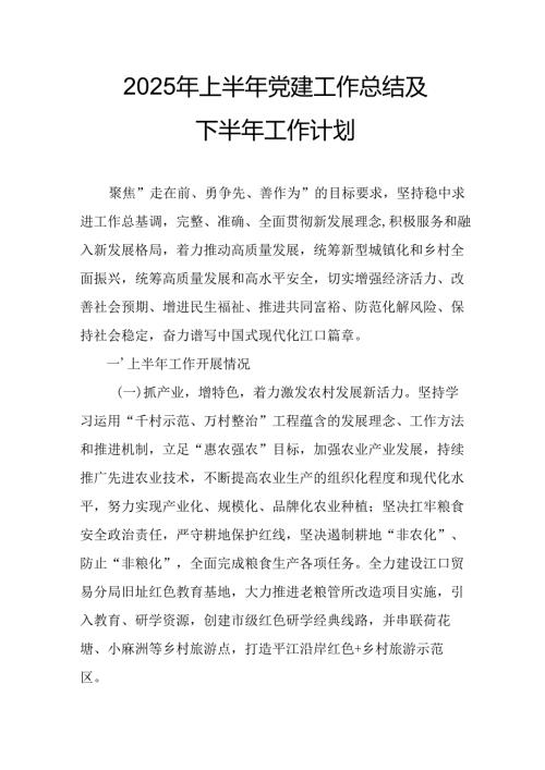 2025年上半年《党建工作总结》及下一步工作打算（汇编11份）.docx