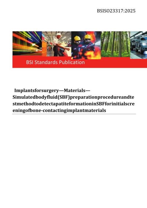 BS ISO 23317 2025.docx