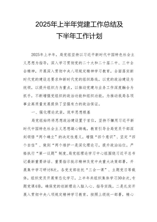2025年上半年《党建工作总结》及下半年工作计划（汇编15份）.docx
